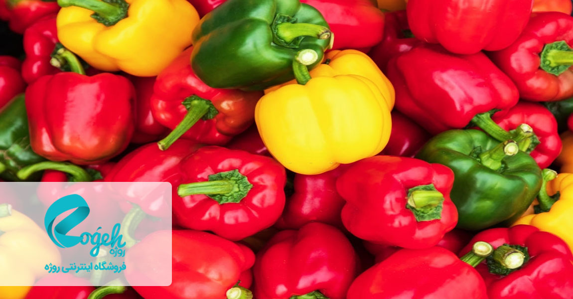 فلفل دلمه ای