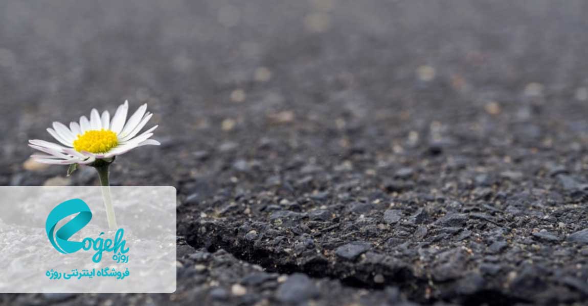 راه های خوش بین بودن