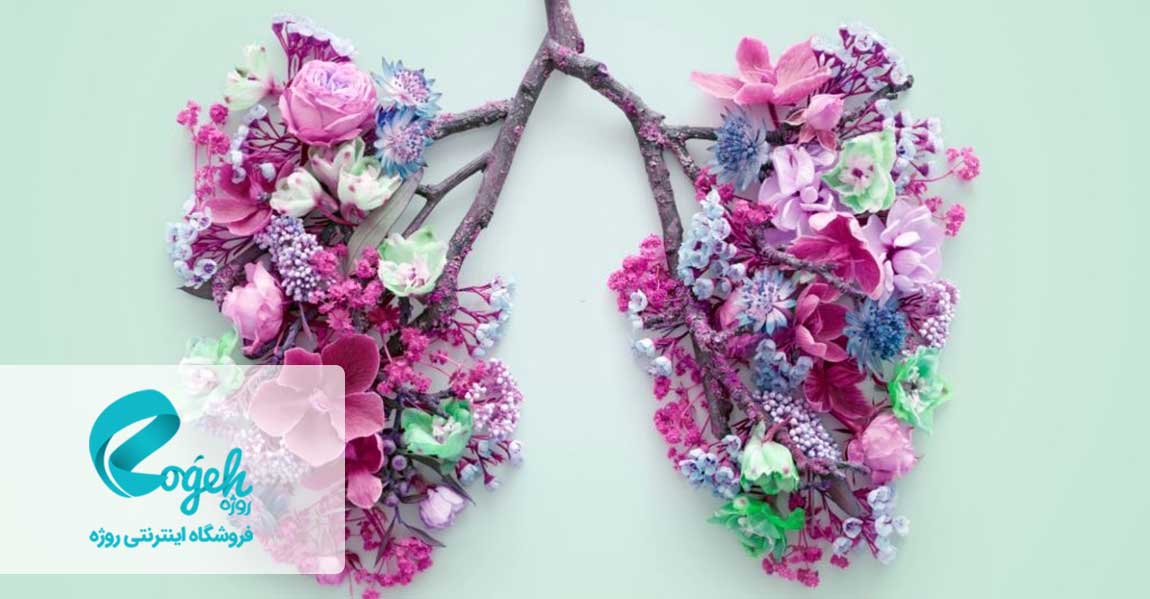 فواید دستگاه بخور