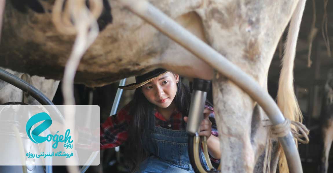 عوارض مصرف زیاد لبنیات