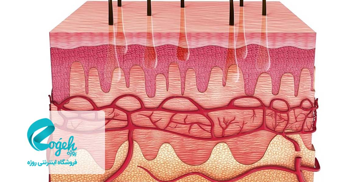 فواید کلاژن برای پوست و مو