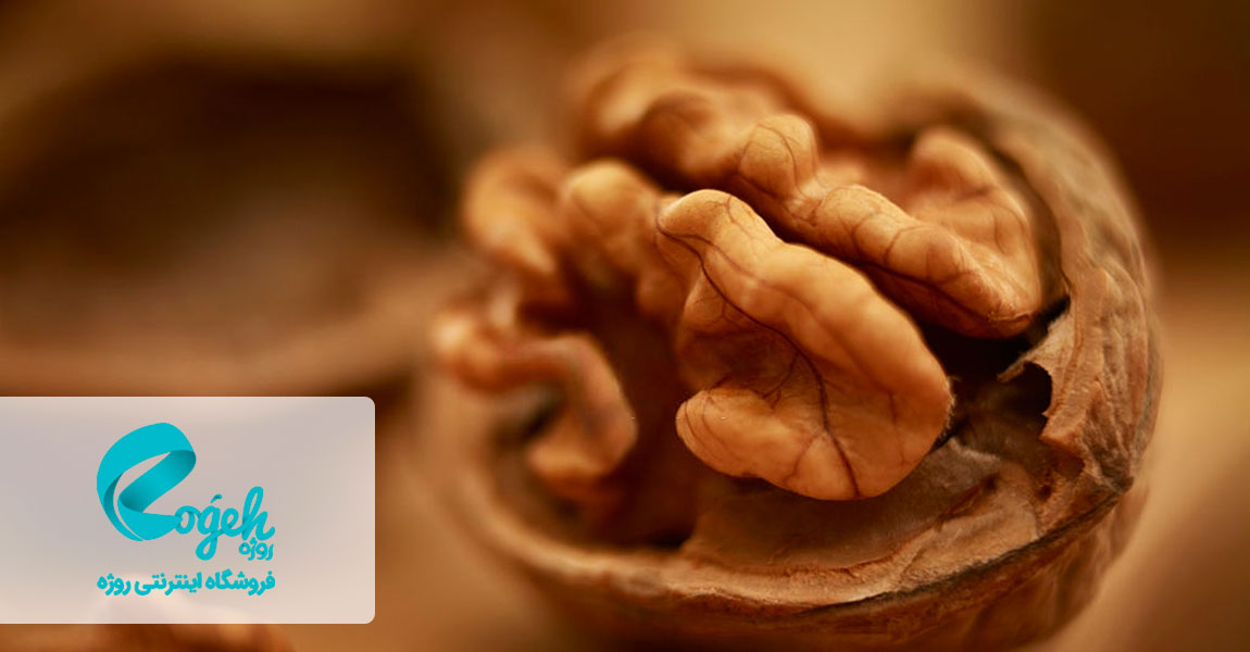 جلوگیری از آلزایمر