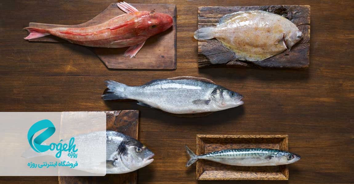 بهترین تغذیه ها برای باردار شدن