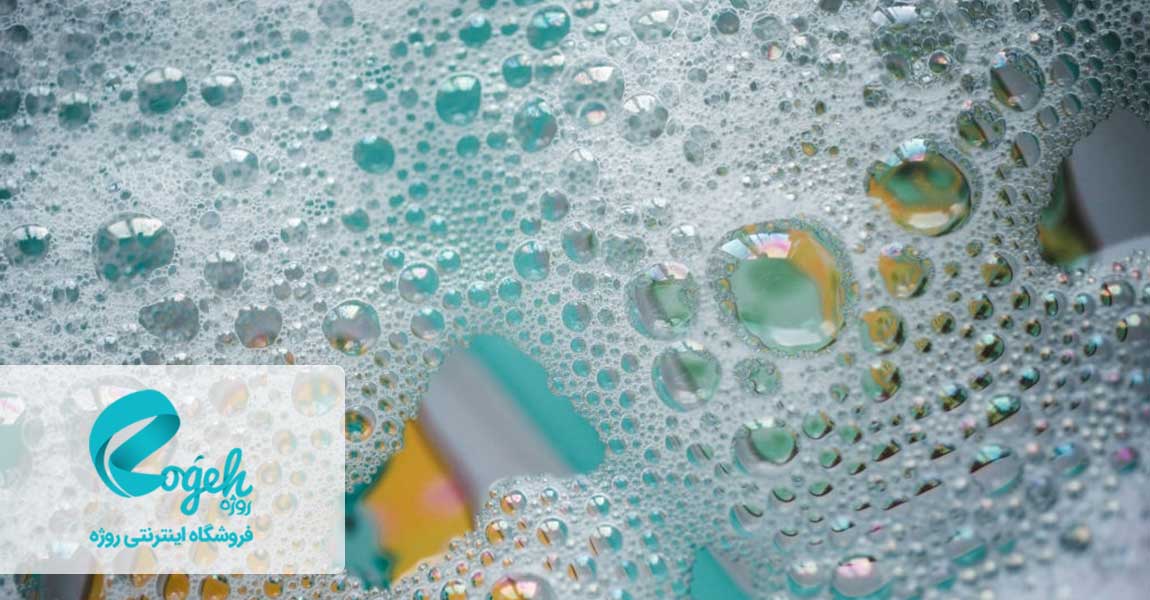 انواع حشرات خانگی