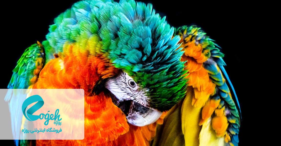 تاثیرات رنگ ها