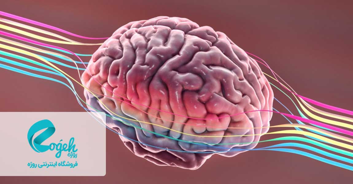 ساعت زیستی بدن