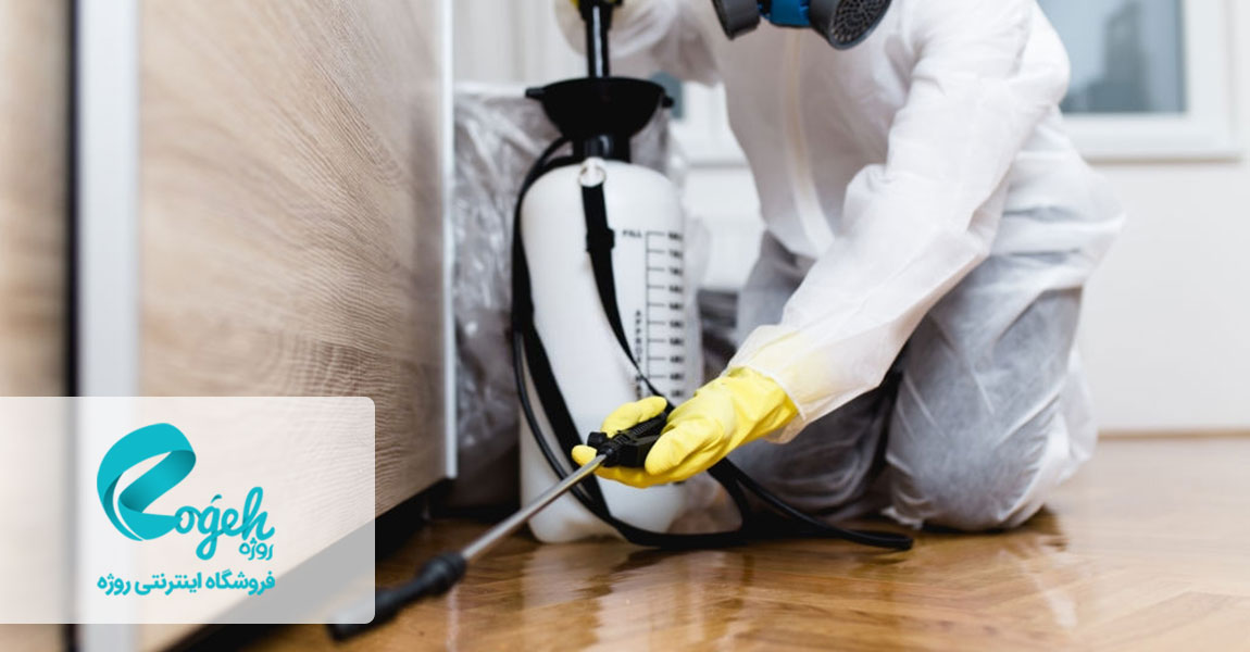 انواع حشرات خانگی