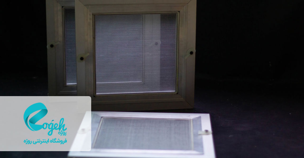 انواع حشرات خانگی