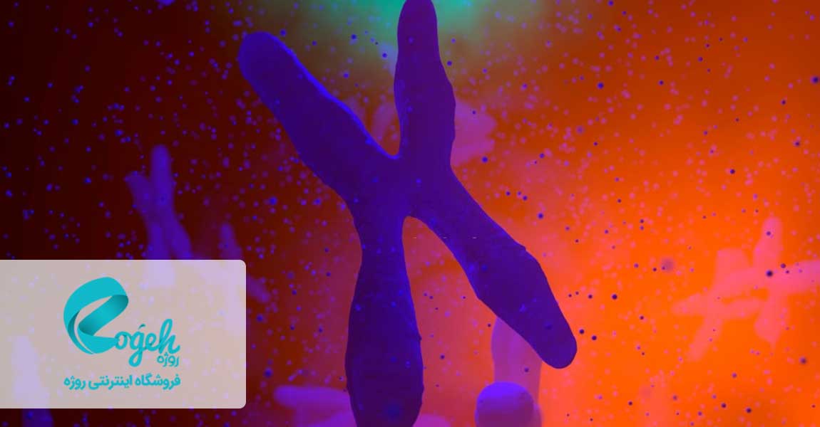 انواع سندرم