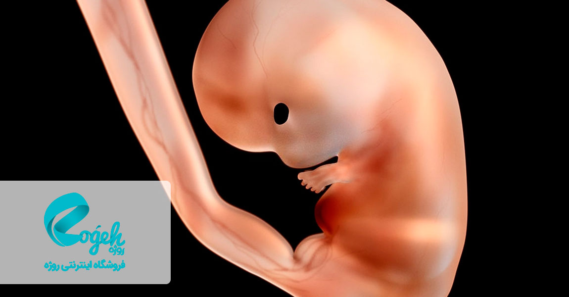 بیماری های ارثی از مادر