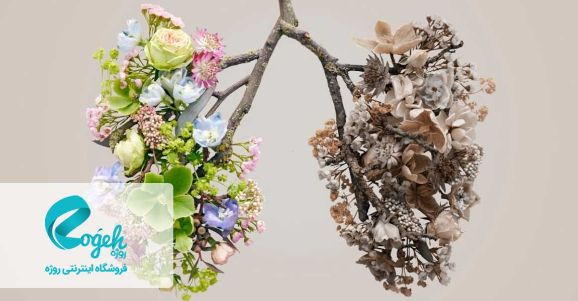 عوارض کشیدن قلیان