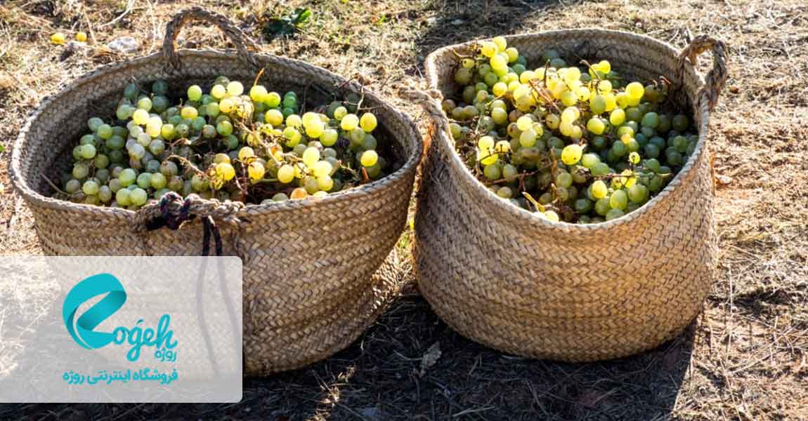 مصرف مواد غذایی برای جوش خوردن استخوان