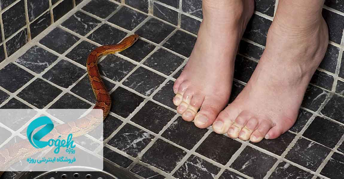 رایج ترین فوبیاهای دنیا