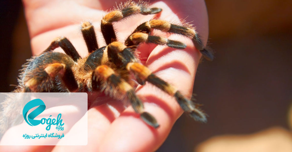 رایج ترین فوبیاهای دنیا