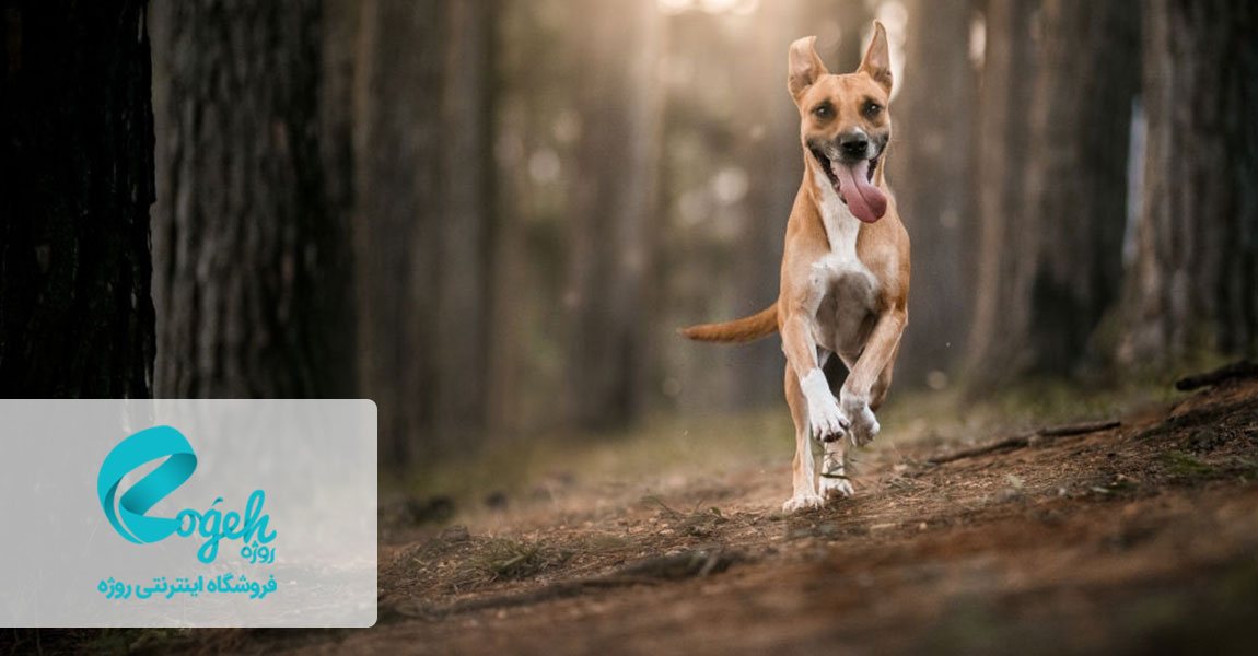 رایج ترین فوبیاهای دنیا