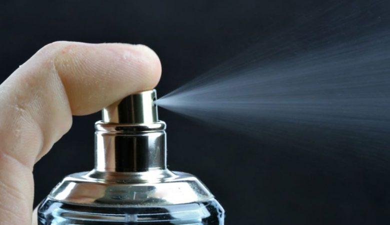 انواع حشرات خانگی