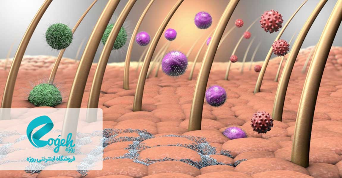 قارچ پوست سر