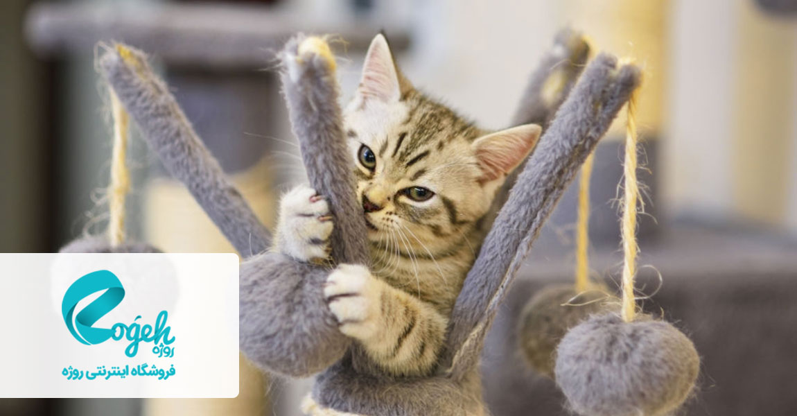 اسباب بازی حیوانات خانگی