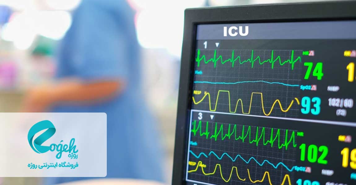 زندگی نباتی