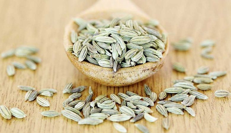 گیاه رازیانه