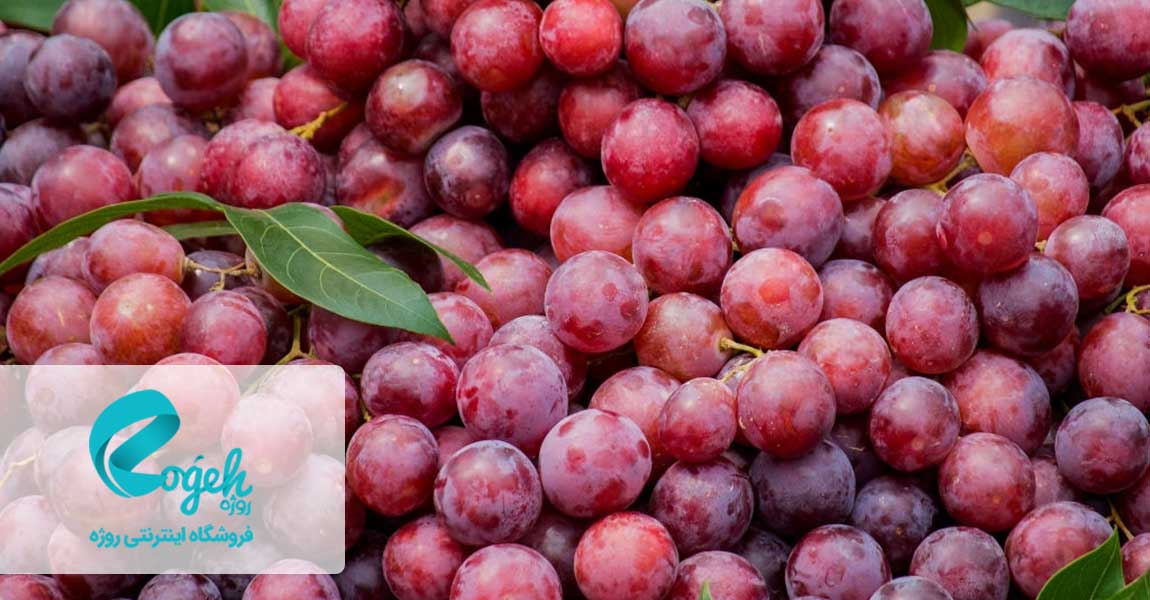 خوراکی های تقویت کننده مغز