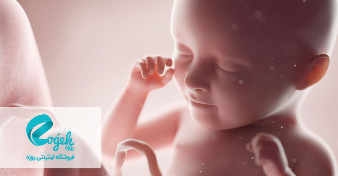 سلامت جنین
