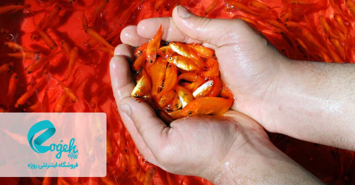 تاریخچه سفره هفت سین