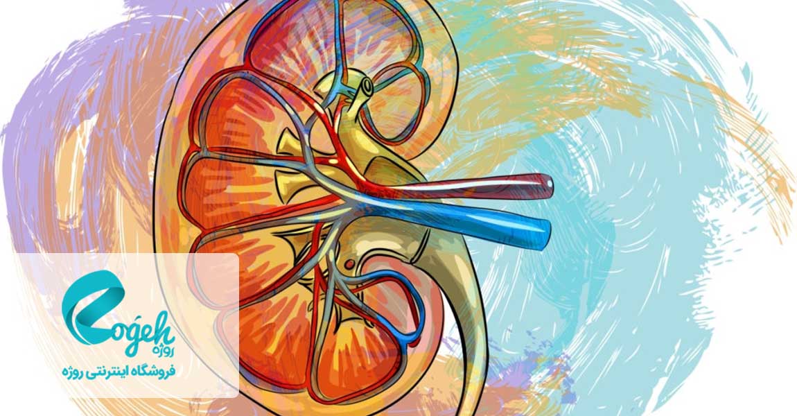 بهینه سازی کلیه