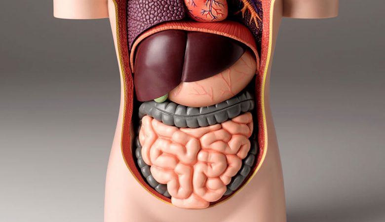 سندرم روده تحریک پذیر