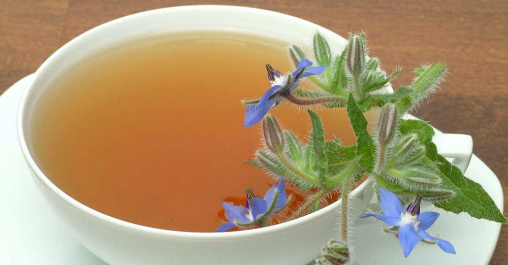خواص گل گاو زبان