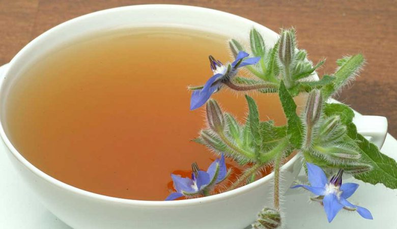 خواص گل گاو زبان