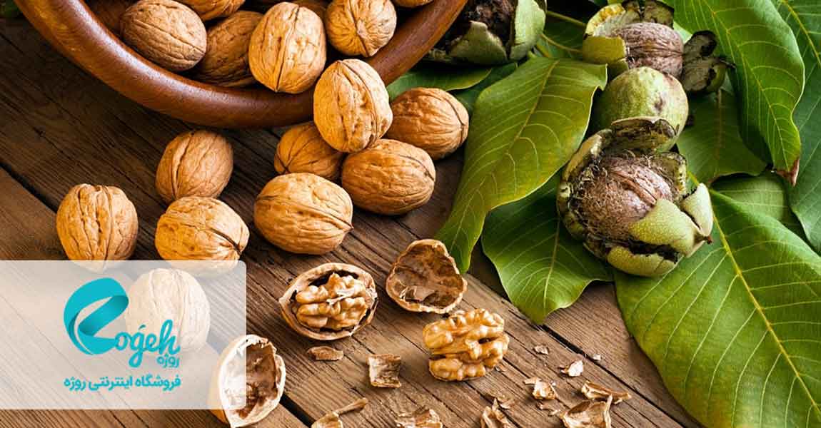 افزایش هوش جنین در بارداری