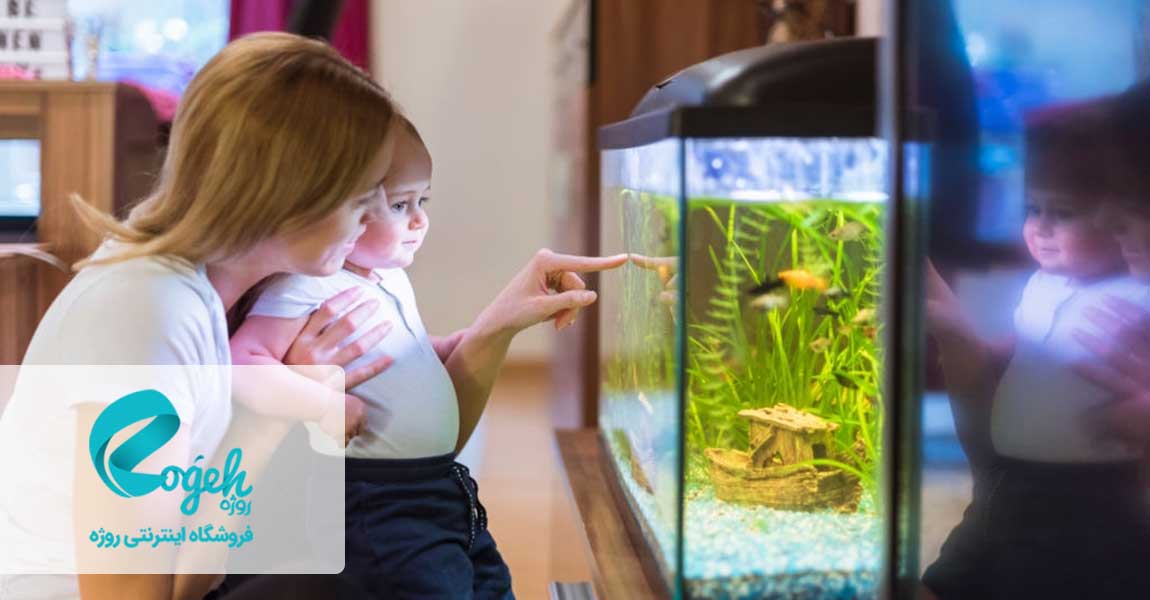 خطرات نگهداری حیوان خانگی در بارداری