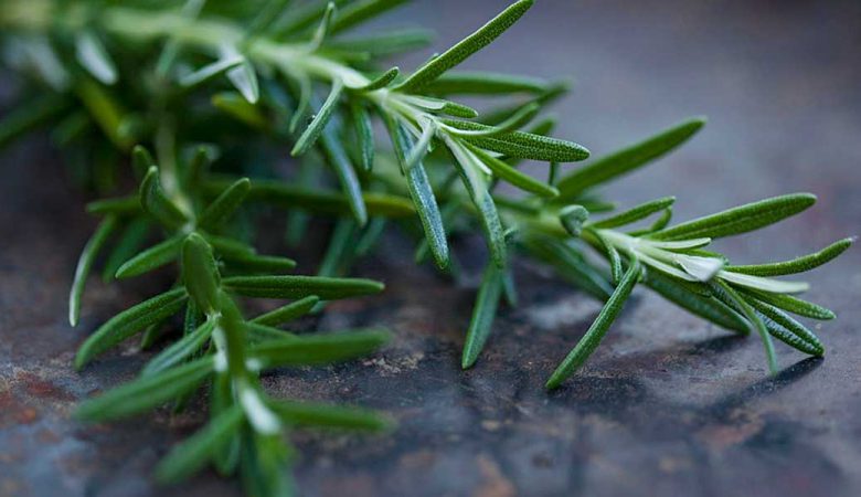 خواص رزماری