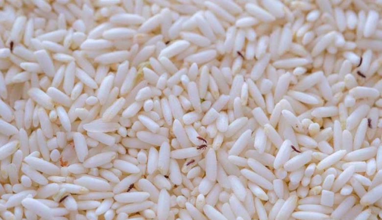 دفع آفت برنج و حبوبات