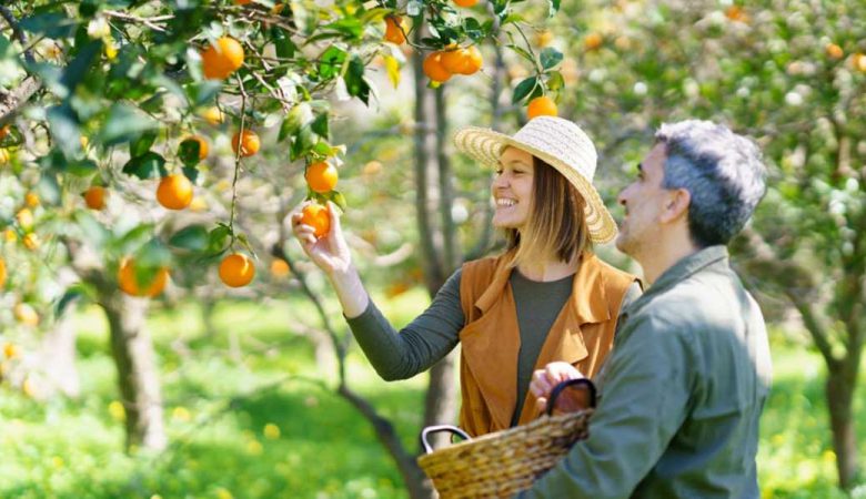 ویژگی های مواد غذایی ارگانیک