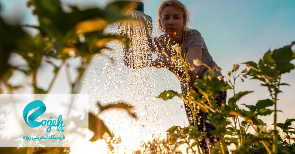 ویژگی های مواد غذایی ارگانیک