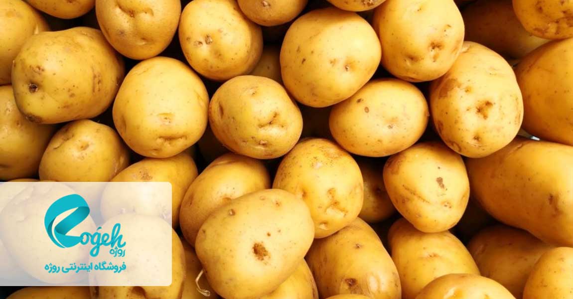 غذاهای سرشار از پری بیوتیک