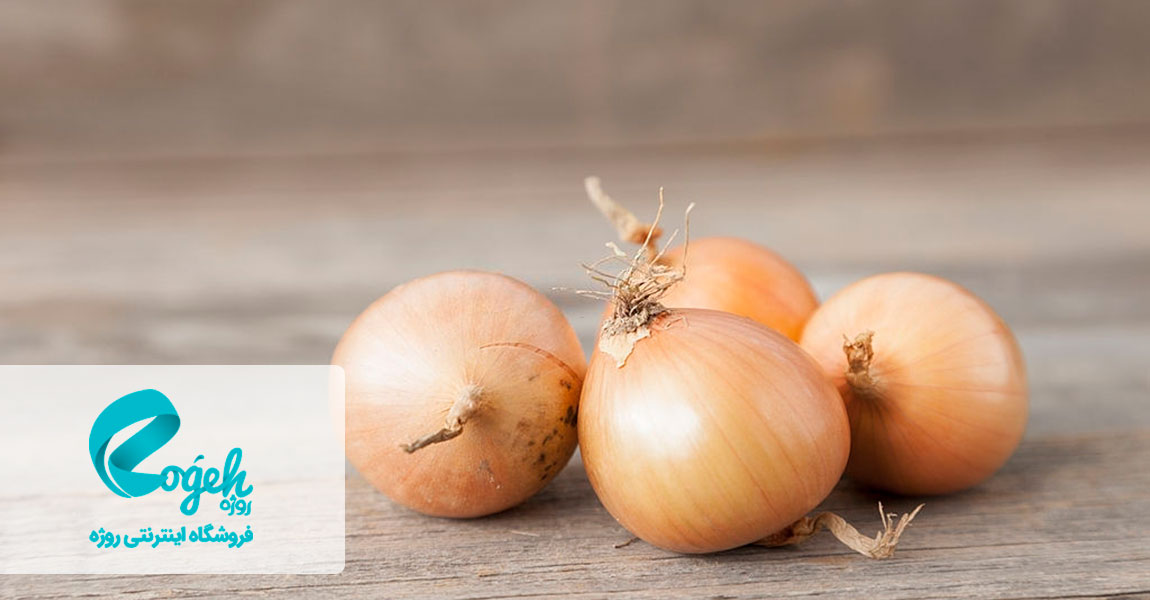 غذاهای سرشار از پری بیوتیک