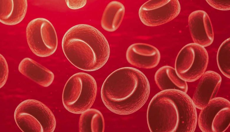 بیماری کم خونی