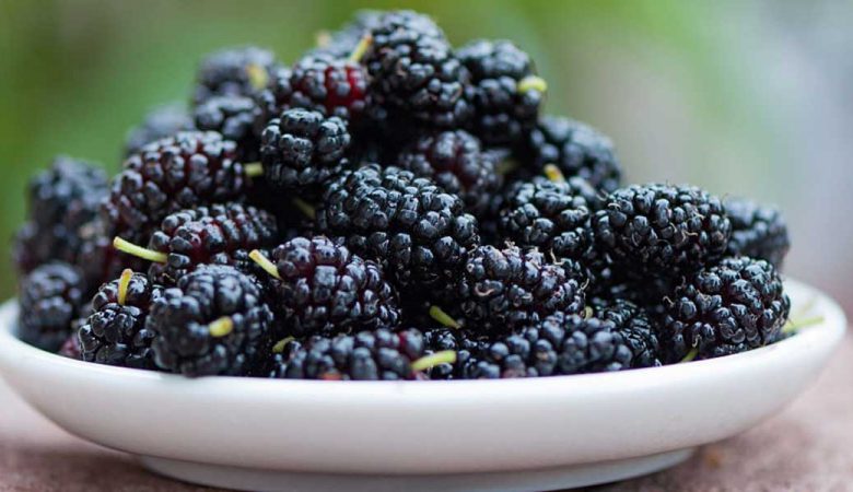 فواید مصرف شاه توت