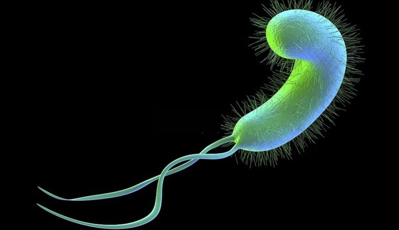 درمان هیلوباکتری