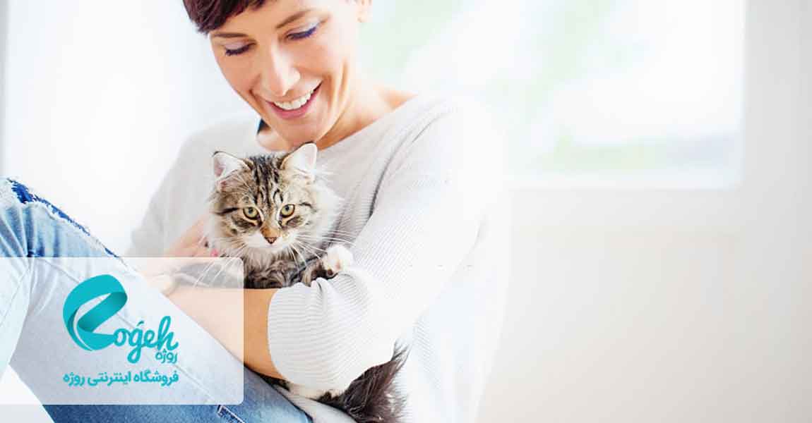 مراقبت از گربه