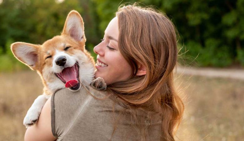 مراقبت از سگ