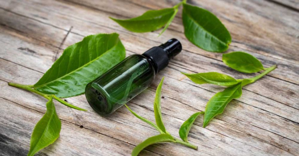 فواید روغن درخت چای