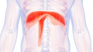 علائم بیماری دیفتری 