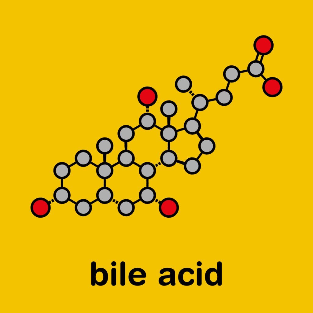 رفلاکس معده