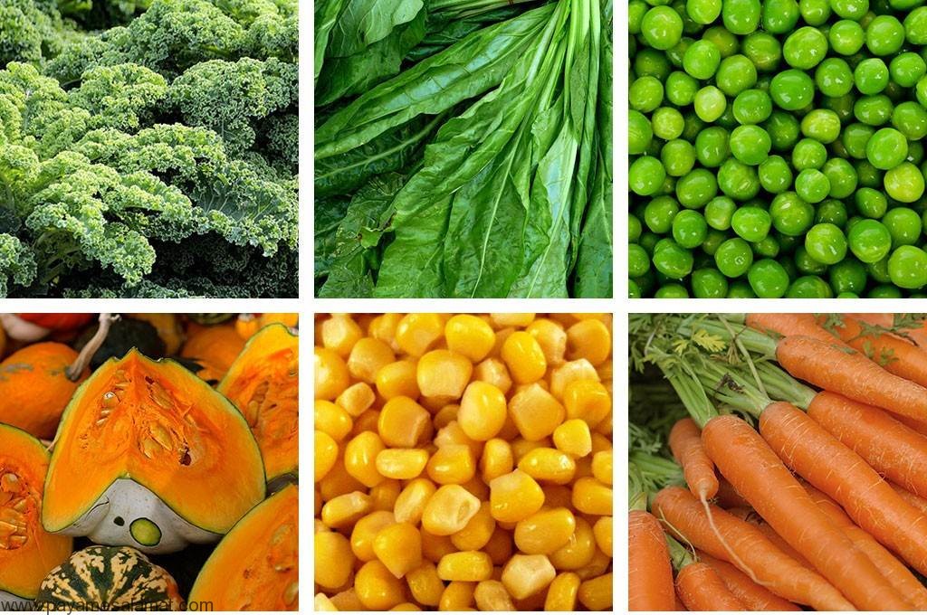 ویتامین برای خانوم ها