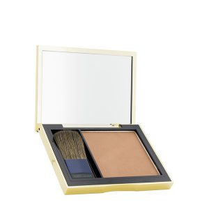 رژگونه Pure Color Envy استی لادر