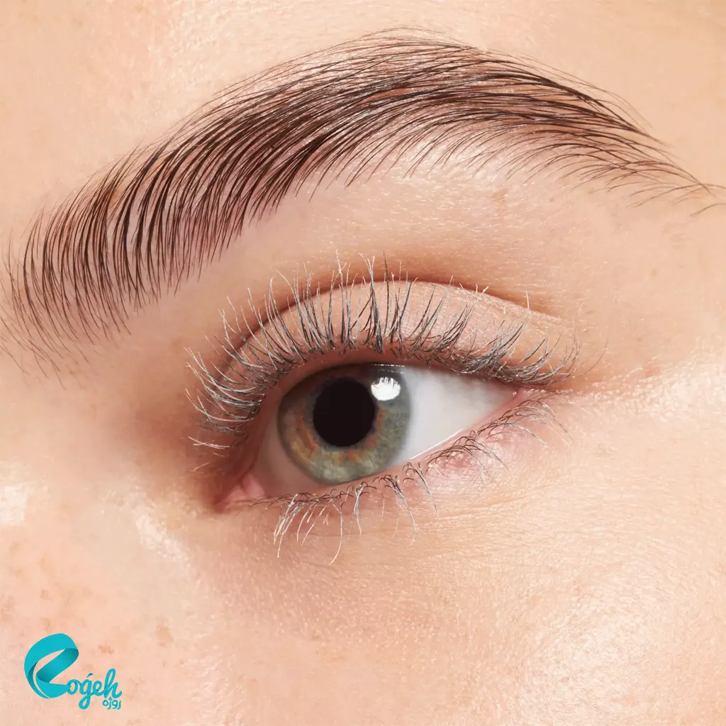 پرایمر تقویتکننده مژه اسنس مدل Volume Booster